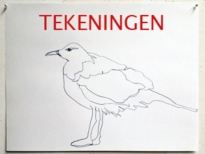 tekeningen